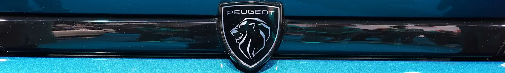  Veículos Peugeot